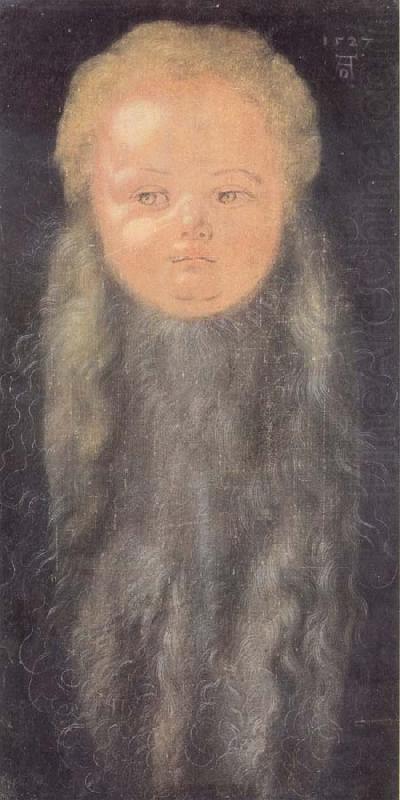 Albrecht Durer Portrait of a boy with a long beard china oil painting image